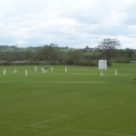 cricket-2